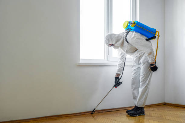 Best Best Pest Control Companies  in Mission, OR
