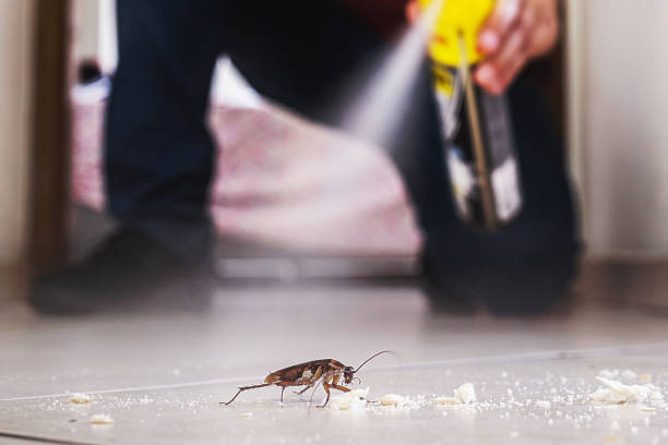 Best Mosquito Control Services  in Mission, OR
